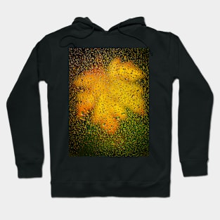 Acer Leaf Seen Through Rain-covered Window Hoodie